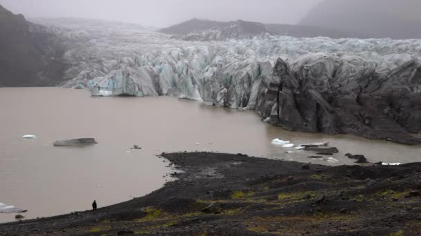 アイスランドのSkaftafellで昼間霧のような雰囲気のSvinafellsjokull氷河の景色と岩の多い湖畔を歩く男を示すワイドショット — ストック動画