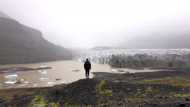 昼間のバックビュー岩の多い湖畔に立っている男のショット アイスランドのSkaftafellで昼間Svinafellsjokull氷河と霧の風景を見て — ストック動画