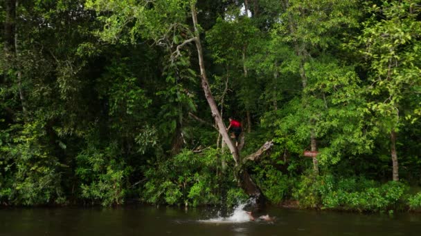 나무에 오르고 강에서 수영을 — 비디오