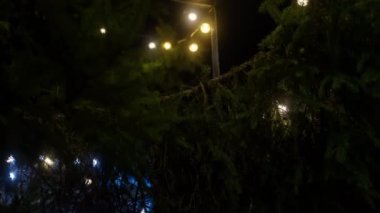 Yukarı doğru hareket eden bir eğim, bir yılbaşı ağacında ampul tellerinin yakın çekimini, ışıkları ve kurdele süsünü gösterir.