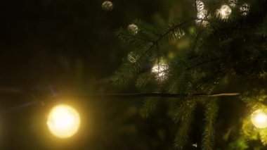 Sarı ipli ışıkları olan bir Noel ağacının çam ağacı yapraklarının yakın çekimi.