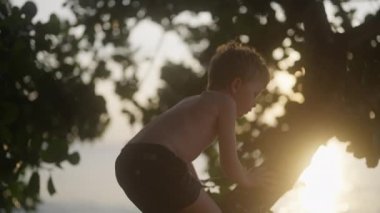 Genç çocuk gün batımında Tayland 'da deniz kenarındaki bir ağaca yavaşça tırmanıyor.