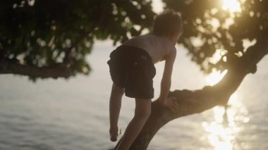 Gün batımında Tayland 'da deniz kenarındaki bir ağaca tırmanan bir çocuğun yavaş çekim odağı.