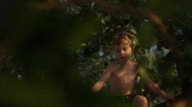 Bulanık yapraklarla çerçevelenmiş bir odak fotoğrafı Tayland 'da bir ağaçta oturan ve eğlenen bir çocuğu gösteriyor.