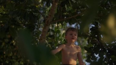 Bulanık yapraklarla çerçevelenmiş bir odaklanma görüntüsü. Gün boyunca bir çocuğun ağaçta oturduğunu ve uzaklara baktığını gösteriyor.