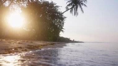 Tay sahillerinde gün batımında akan sular ve uzun palmiye ağaçları