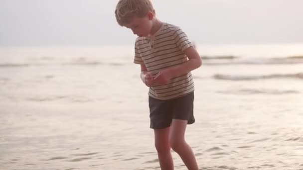 昼間にビーチの海岸線に沿って砂をつかむ少年のビデオ — ストック動画