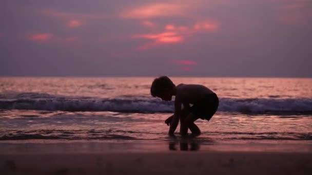 Nagranie Chłopca Stojącego Wzdłuż Linii Brzegowej Plaży Podczas Zachodu Słońca — Wideo stockowe