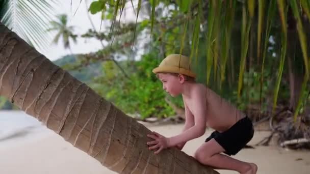 Rückgängige Aufnahme Eines Kleinen Jungen Der Tagsüber Einem Strand Thailand — Stockvideo