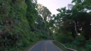 Tayland 'da gündüz vakti ağaçlar ve bitkilerle çevrili kırsal bir yolun POV görüntüsü.