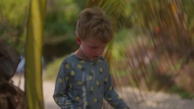 Palmiye ağacının yanında yürüyen ve Tayland 'da gündüz vakti tamamen olgunlaşmış bir hindistan cevizini toplayan bir çocuk.