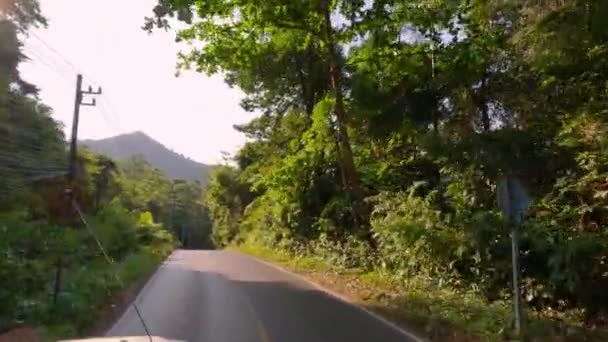 Pov Záběr Ukazující Vozidlo Které Cestuje Venkovské Silnici Obklopeno Stromy — Stock video