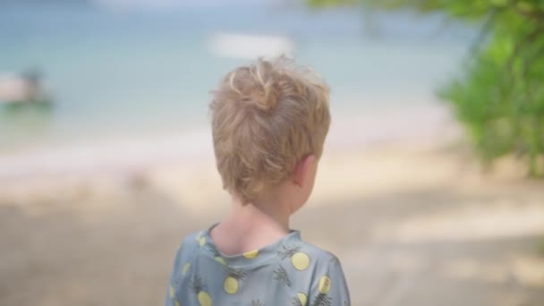 砂のビーチを歩いている男の子の背中の景色と タイの昼間に右側の植物を見るビデオ — ストック動画