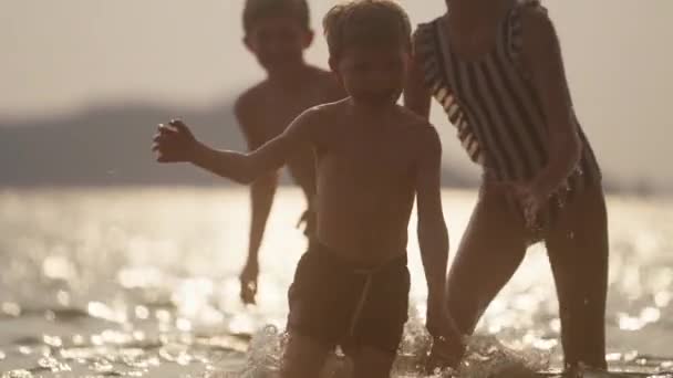 Ein Video Von Kindern Die Den Strand Genießen Mit Einem — Stockvideo