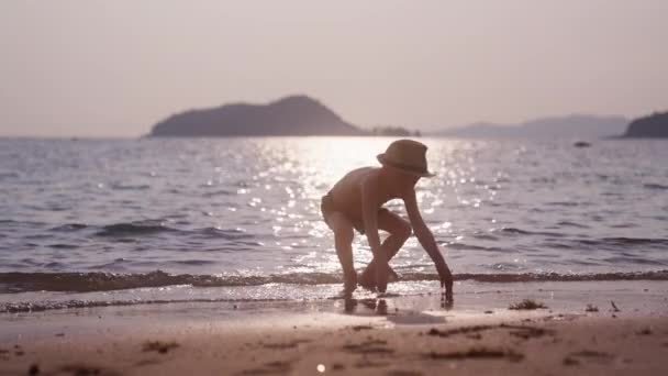 Video Pojke Plocka Upp Våt Sand Stranden Thailand Solnedgången — Stockvideo