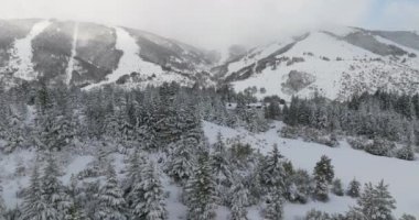 Drone, Cerro Katedrali, Kar, Dağ, Orman