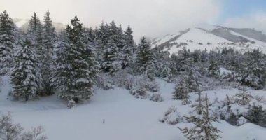 Drone, Cerro Katedrali, Kar, Dağ, Orman