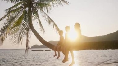Gün batımında, Tayland 'da bir plajda bükük bir palmiye ağacında oturan üç çocuğa doğru hareket eden kamera.