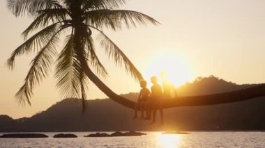 Gün batımında Tayland 'da bir plajda palmiye ağacında oturan çocukların videosu.