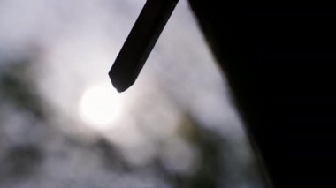 Plastik bir ağaçtan çıkarılan ve arkasında güneş ışığı olan lateks.