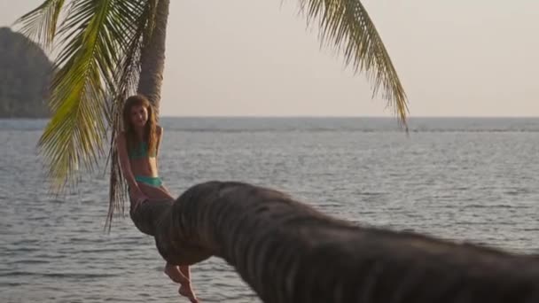 タイの日没時にビーチで曲がったヤシの木に座っている女の子の広いショット — ストック動画