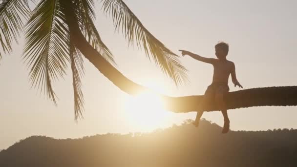 Video Showing Silhouette Boy Sitting Bent Palm Tree While Pointing — Stock Video
