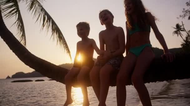 日没時にタイのビーチで曲がったヤシの木に座って笑っている3人の子供を示す後退ショット — ストック動画