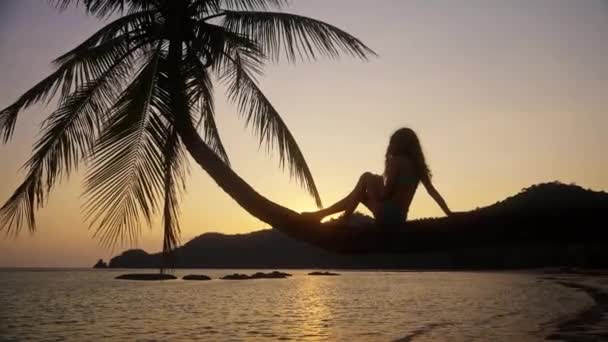 Ein Video Von Einem Mädchen Das Auf Einem Palmenstamm Sitzt — Stockvideo