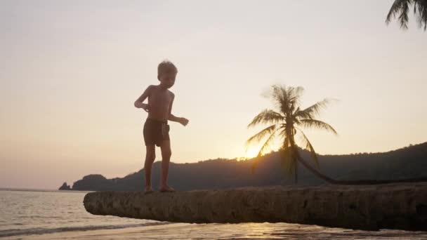 木の幹を歩いている男の子のビデオ日没時にタイのビーチで慎重にバランスを取りながら — ストック動画