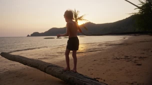 Video Pojke Som Gör Lina Promenad Trädstam Strand Thailand Solnedgången — Stockvideo