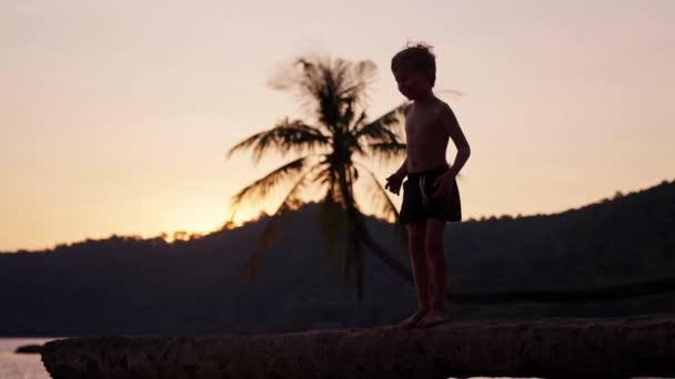 Video Pojke Som Går Försiktigt Trädstam Vid Strand Thailand Solnedgången — Stockvideo