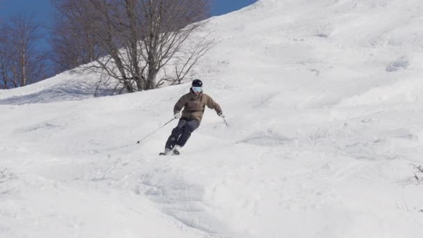 Esquí Hombre Abajo Campo Fondo Esquiador — Vídeos de Stock