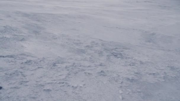 Ventos Fortes Sopram Nas Areias Cobertas Neve Praia Reynisfjara Islândia — Vídeo de Stock