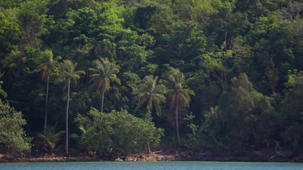 位于泰国海岸线附近的一个有高大椰子树的岛屿的日间录像 — 图库视频影像