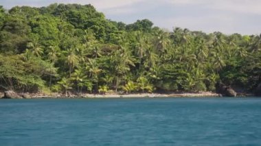 Tayland 'da bir adadaki birden fazla ağacın görüntüsünü gösteren bir video.