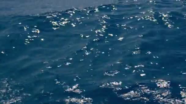 タイで昼間に白い泡と青い海の水を示す右側に移動するビデオ — ストック動画