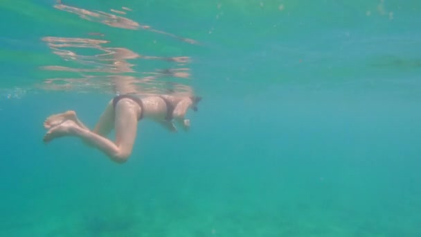 Žena Šnorchlování Oblečení Plavání Modré Vodě Oceánu Během Dne Thajsku — Stock video