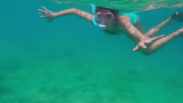 Video Dívky Modrých Plavkách Šnorchlování Výstroj Plavání Blízkosti Tyrkysové Hladiny — Stock video