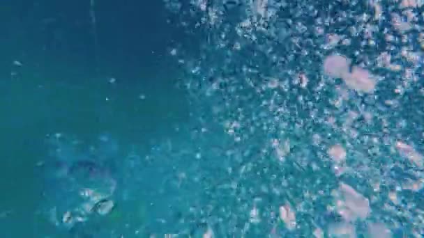 Підводний Знімок Зображенням Аквалангістів Які Утворюються Синьому Океані Таїланді — стокове відео