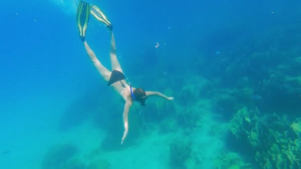 Video Una Mujer Buceando Bajo Agua Volviendo Cima Superficie Del — Vídeo de stock