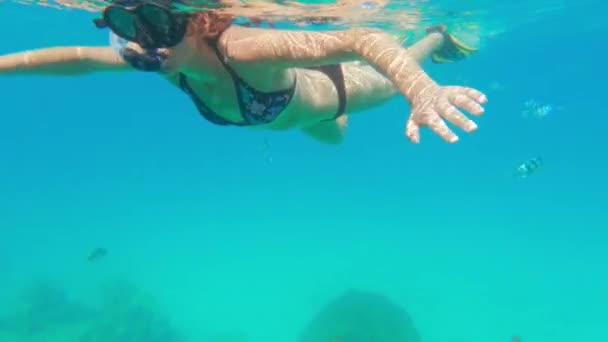 Ένα Βίντεο Μια Γυναίκα Κολυμπάει Αργά Στην Επιφάνεια Του Νερού — Αρχείο Βίντεο
