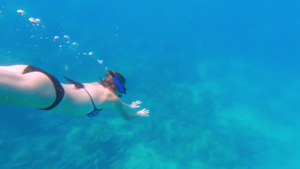 タイの青い海をシュノーケリングする女性のビデオ — ストック動画