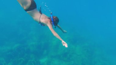 Bir kadının dalış yaptığı ve gün içinde Tayland 'da suyun yüzeyinde yüzdüğü bir video.