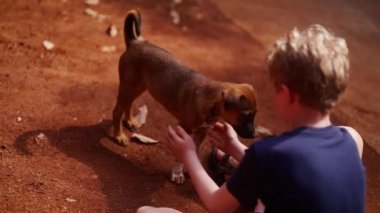 Tayland 'da gündüz vakti köpek besleyen bir çocuğun arka planını gösteren bir video.