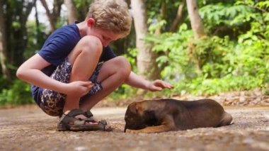 Tayland 'da gündüz vakti köpek besleyen lacivert tişörtlü bir çocuğun videosu.