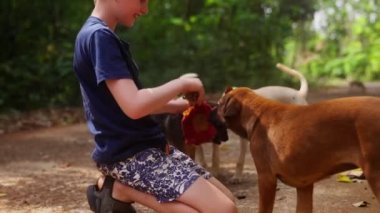 Tayland 'da gündüz vakti bir bez parçasını sallayan bir çocuğu çevreleyen çok sayıda köpek.