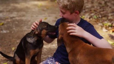 Tayland 'da gündüz vakti açık havada iki köpeği okşayan lacivert tişörtlü bir çocuğun orta boy fotoğrafı.