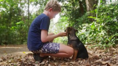 Tayland 'da köpek yavrusuna bakan ve onun diline dokunan bir çocuğun videosu.