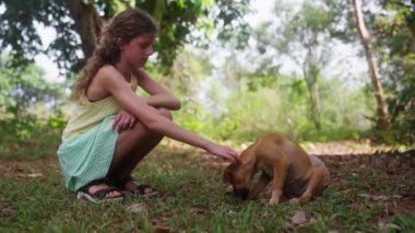 Tayland 'da gündüz vakti iki köpeği olan genç bir kızın videosu.