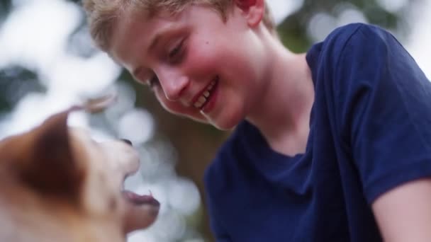 Close Menino Uma Camisa Azul Marinho Acariciando Cão Durante Dia — Vídeo de Stock